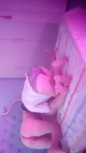 两只小婊子